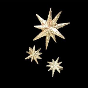 Vintage Pegasus Coro Gold Tone Star. brooch pin clip on earrings